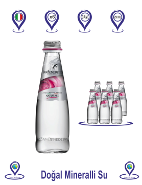 San Benedetto Doğal Mineralli Su 250 ML x 6