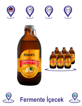 Mark Walker's Zencefilli Fermente İçecek 250 ML x  6