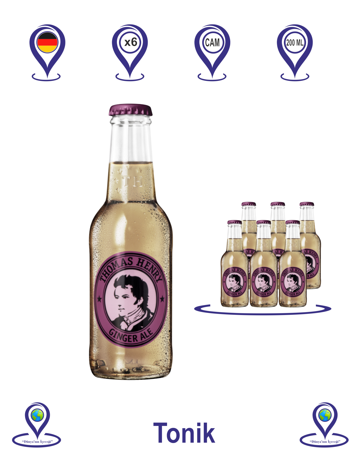 Thomas Henry Ginger Ale 200 ML X 6