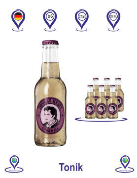 Thomas Henry Ginger Ale 200 ML X 6