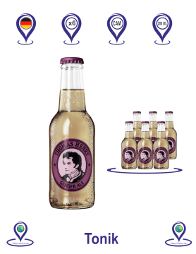 Thomas Henry Ginger Ale 200 ML X 6