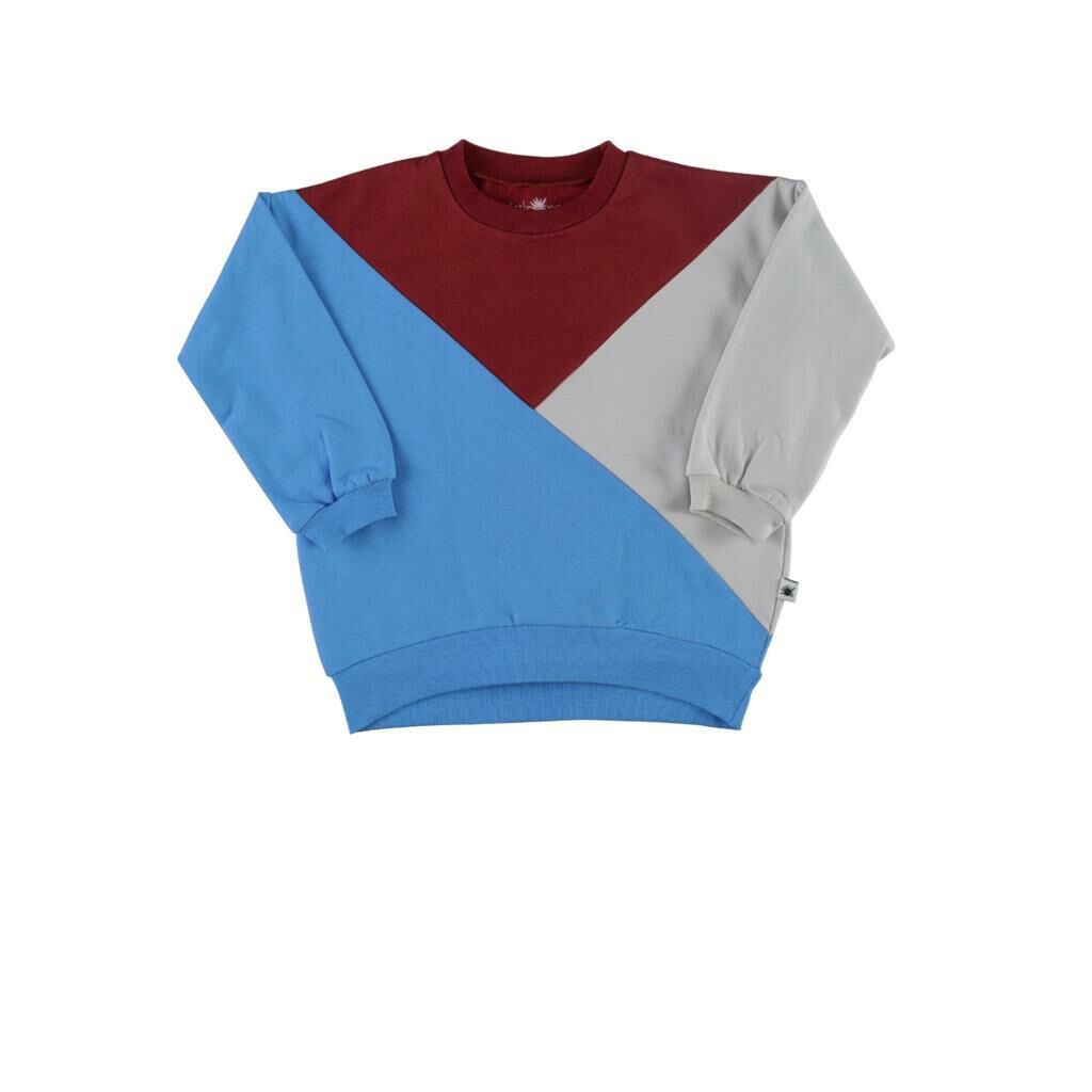 Little Yucca Grow Diagonal Sweatshirt (Bordo&Mavi)