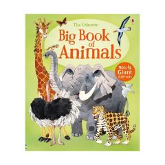 USB - Big Book Of Animals