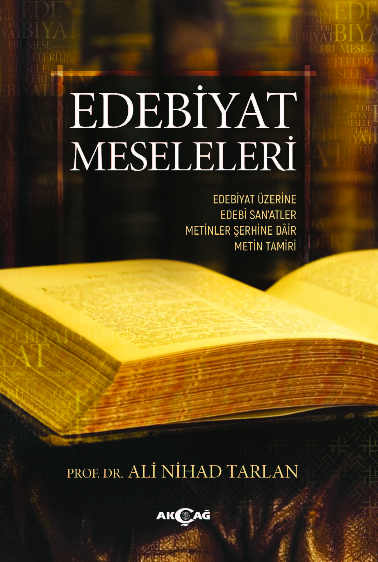 EDEBİYAT MESELELERİ