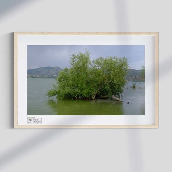 Karmaşa (Fotoğraf)