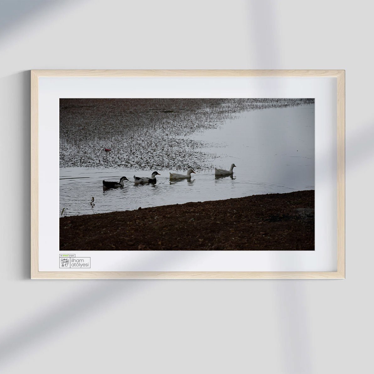 Devir (Fotoğraf)