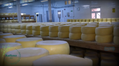 Trakya Eski Kaşar Peyniri (Koyun) Kelle_Teker