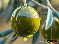 Gemlik Çizik Yeşil Zeytin (500 Gr)