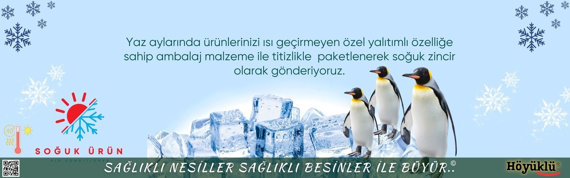 Soğuk Kargo 