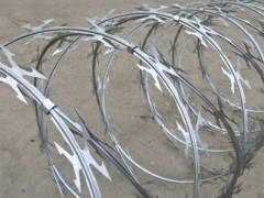 Concertina Razor Wire Coils, Concertina Clipped