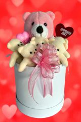 Premium Özel Hediye Kutusunda  25 cm Pembe Ayıcık ve  5 adet Krem Peluş Minik Ayıcık Buketi