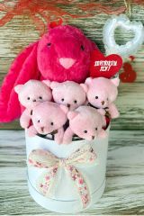 SOLE Premium Özel Hediye Kutusunda 45 cm Fuşya Bunny Tavşan ve 5 Adet Pembe Peluş Ayıcık Buketi