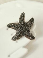 Bronz deniz yıldızı Broş