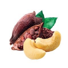 Muntu Kakao & Kaju Meyve Barı 35g x 12 Adet