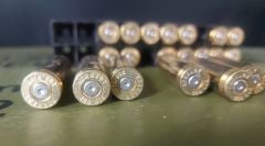 7.62x51 mm Nato 308 Winchester Pirinç Kovanlar (Stant+20 Adet Dekoratif Kovan)