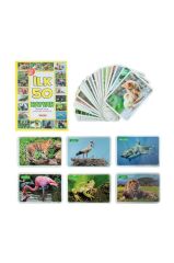 F.CARDS YAŞAM ALANLARINDA İLK 50 HAYVAN EĞİTİCİ KARTLAR