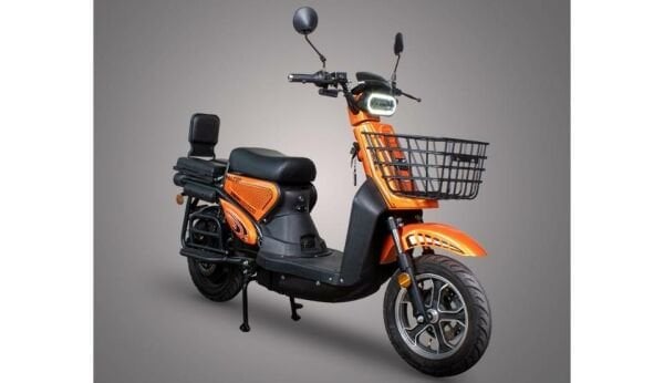 Falcon Sport Service
