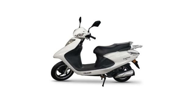 Falcon Dolphin 100