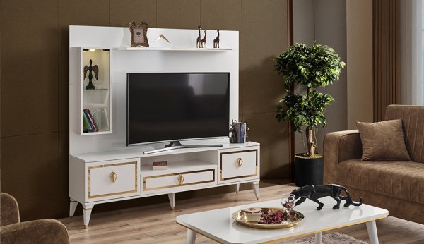 Floransa Televizyon Ünitesi