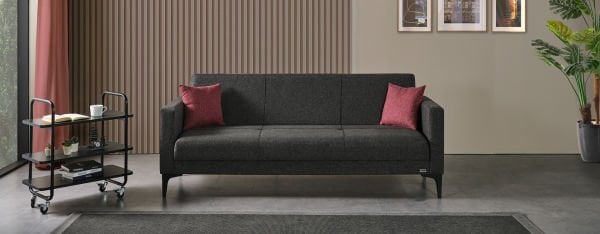 Akdeniz Koltuk Takımı