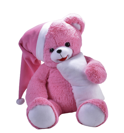 Salaş Uykucu Ayı Pembe 75 Cm