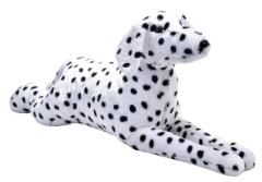Dalmaçyalı Köpek 85 Cm