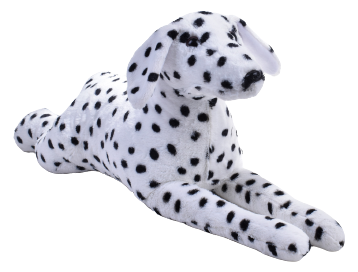Dalmaçyalı Köpek 85 Cm
