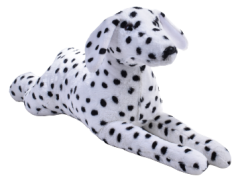 Dalmaçyalı Köpek 85 Cm
