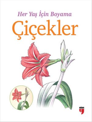 Her Yaş İçin Boyama - Çiçekler