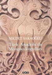 Türk Anadolu'da Mengücekoğulları