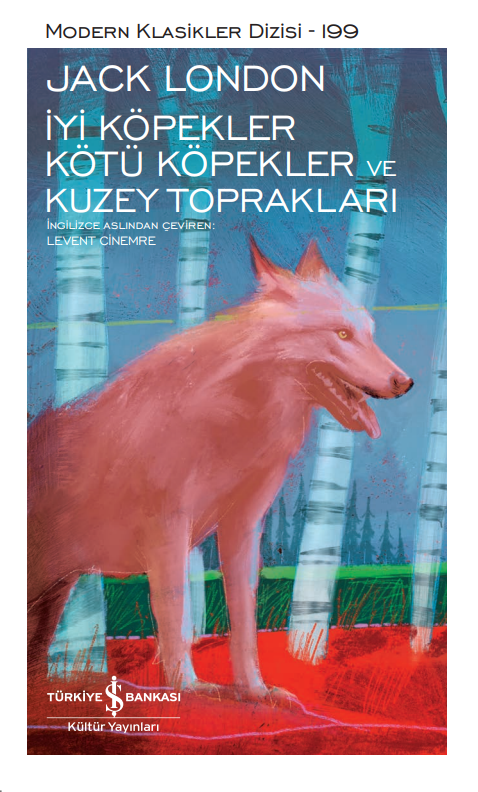 İyi Köpekler Kötü Köpekler ve Kuzey Toprakları - Karton Kapak