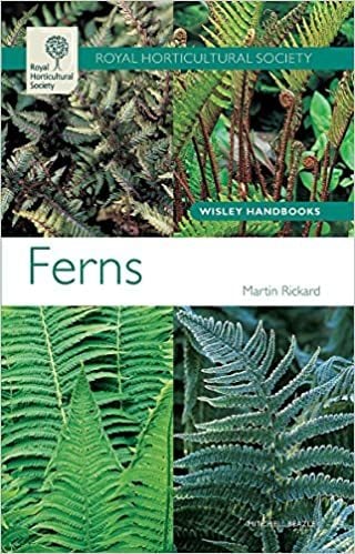 Ferns