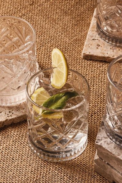 HOMENIVA Agave 4’lü Cam Bardak Seti 220 ml