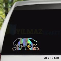 Tembel Köpek Hologram Araba Cam Oto Sticker Yapıştırma Etiket Çıkartma Etiket 20 X 10 Cm