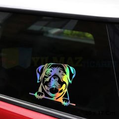Bakan Köpek Hologram Oto Sticker Cam Araba Yapıştırma Çıkartma Aksesuar Modifiye 20 X 17 Cm
