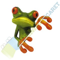 Kurbağa Kelebek Cam Kapı Oto Sticker Araba Yapıştırma Etiket