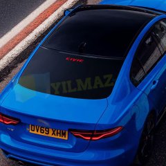 Honda Civic Logo Arka Cam Kapı Altı Oto Sticker Yapıştırma 2 Adet