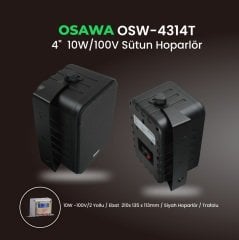 Osawa OSW-4314 TS 40 Watt Duvar Hoparlörü