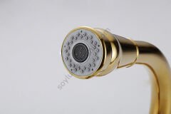 Altın Krom 360 Derece Döner Spiral Başıklı Spray Modlu Mutfak Lavabo Evye Bataryası