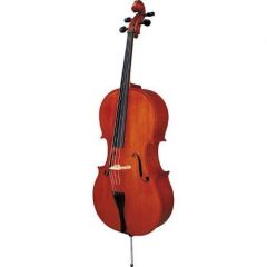 Cort Çello Tam Takım Gül Aksamlı