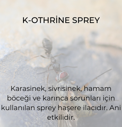 K-Othrine Spray 1000 ml Bayer