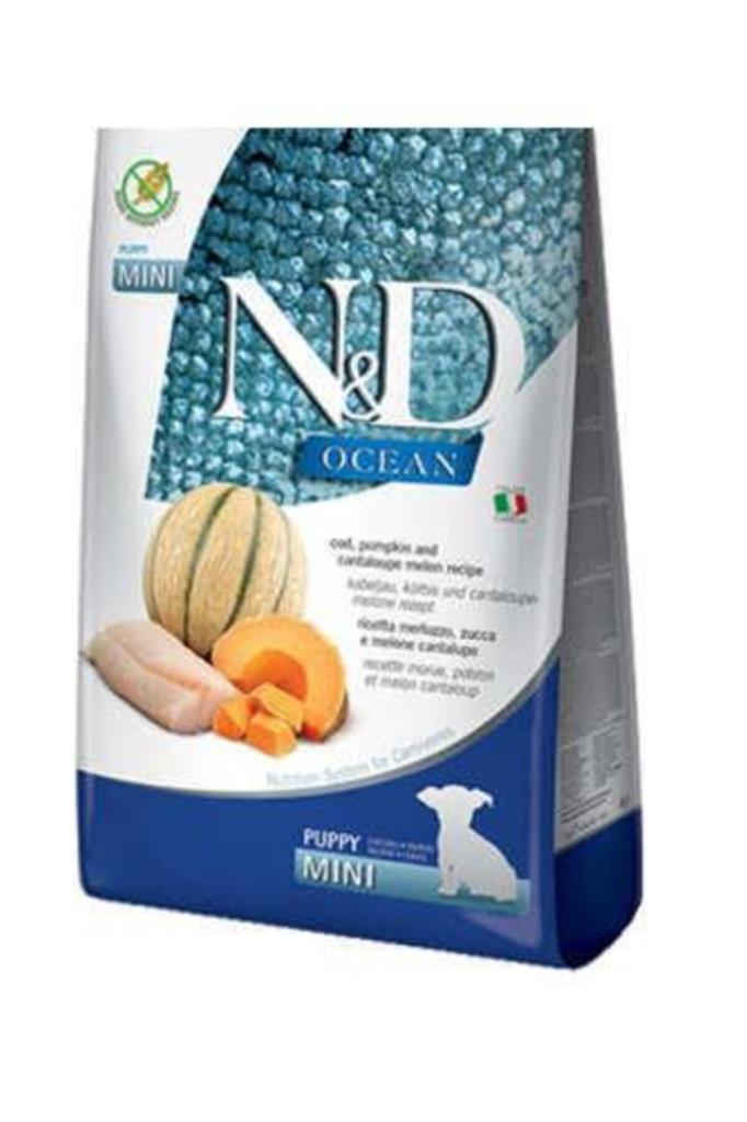 N&D Ocean Morina Balıklı Bal Kabaklı ve Kavunlu Küçük Irk Tahılsız Yavru Köpek Maması 2,5kg