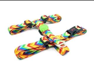 TAİLPETZ RAINBOW H-HARNESS M
