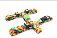 TAİLPETZ RAINBOW H-HARNESS M