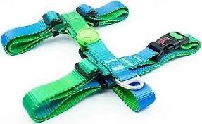 TAİLPETZ AMAZON H-HARNESS L