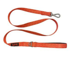 TAİLPETZ PRISM  LEASH MEDIUM