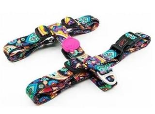 TAİLPETZ H-HARNESS XSMALL RENKLİ