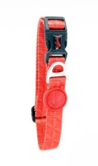 TAİLPETZ PRISM COLLAR SMALL