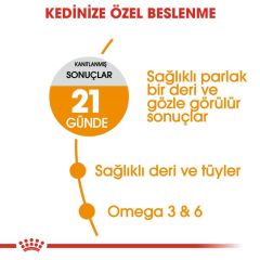 Royal Canin Hair Skin Hassas Tüylü Kedi Maması 4 Kg