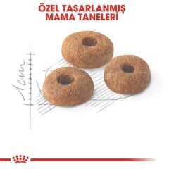 Royal Canin Fit 32 15 kg Yetişkin Kuru Kedi Maması